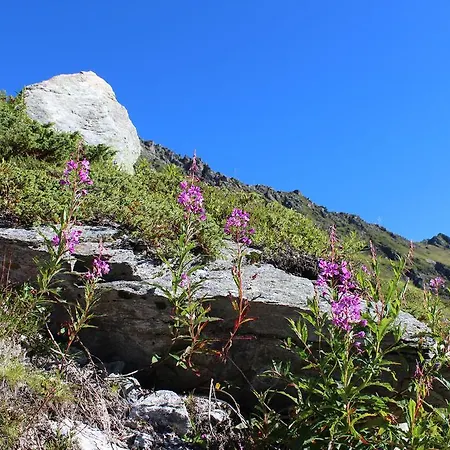 Lejlighed Bergzeit Gaschurn